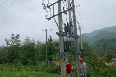 新化電力公司開展配網線路通道治理活動