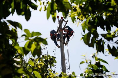 淄博供電公司針對防爆支線進行T接線路建設