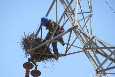 煙臺(tái)供電公司攀爬高空鐵塔檢修線路