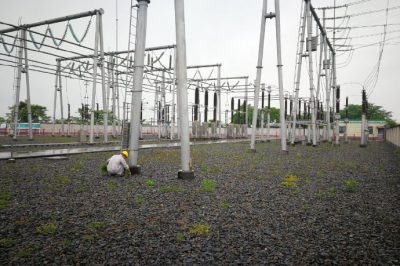 懷化供電公司清除220kV頂光坡變電站進行雜草