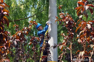 安丘供電公司組織配電運(yùn)維員工助推線(xiàn)路架設(shè)