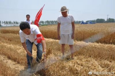 清河供電公司在田間給農(nóng)民開(kāi)展用電宣傳