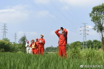 銅梁供電公司對35千伏天平線開展無人機(jī)巡視