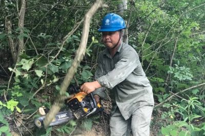 洛陽供電所運(yùn)維人員排除樹木對電力線路的危害