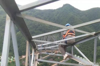 330千伏線路安裝防鳥刺，消除線路鳥害隱患