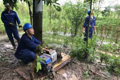 樂山電力搶修110千伏線路故障，迅速恢復(fù)供電