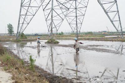 架設(shè)線路、安裝電纜引下線，解決農(nóng)民秸稈焚燒問題