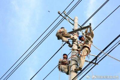 改造鹿灣變10千伏蔣莊105線路，原老舊線路全部更換為240絕緣導(dǎo)線