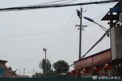 平陰縣供電公司組織對線路進行絕緣化升級改造