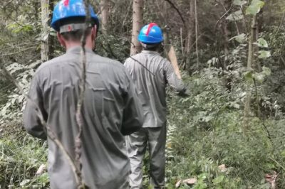 穿過無人區(qū)檢修110千伏線路君野線44號(hào)塔雷擊跳閘故障點(diǎn)