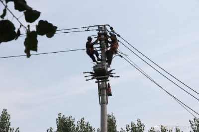 東阿縣供電公司新架設(shè)電桿5基、絕緣導(dǎo)線1000米