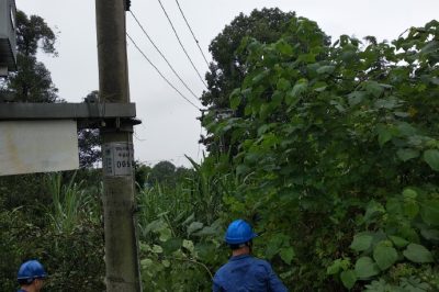 天府新區(qū)供電公司冒雨對線路通道進行清理