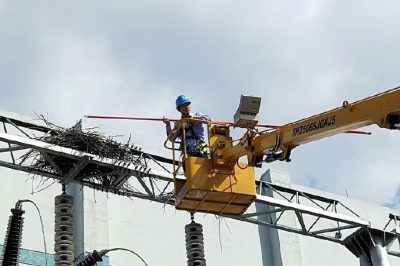 海寧市供電公司拆除贊山邊門(mén)架二號(hào)主變上兩處“巨型”鳥(niǎo)窩