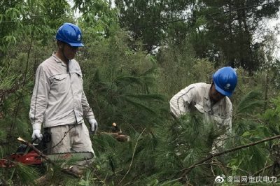 綦南供電公司對(duì)供電轄區(qū)10千伏壩扶線電力通道進(jìn)行樹(shù)障砍伐清理