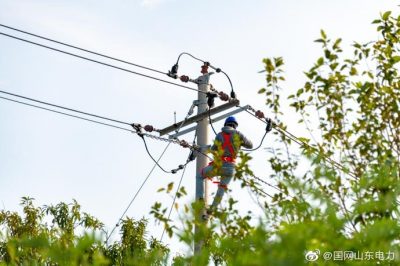 長島縣供電公司在花溝村進行檢修消缺