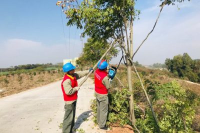 10kV段集線線路通道內(nèi)樹障進行清理