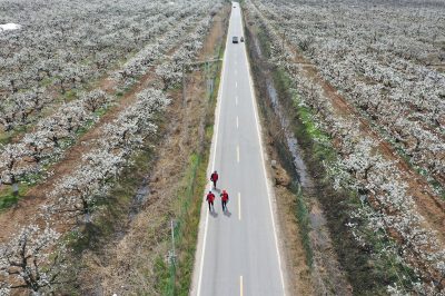 安徽碭山：電靚“梨花節(jié)”