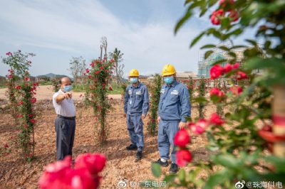 南方電網(wǎng):“電管家”護航春耕用電無憂