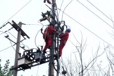 利津縣供電公司對10千伏津三線進行線路改造