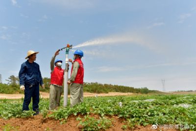 采用電氣化噴灌，節(jié)能又增收