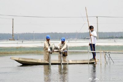 新增配電變壓器為湖畔生態(tài)農場添“動力”