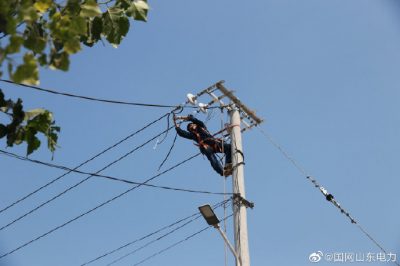 東阿縣供電公司對西張村線路進行升級改造