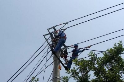 電網線路改造忙，迎峰度夏有保障