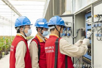 為大棚電力線路、電氣化設(shè)備進(jìn)行縝密排查和整改消缺
