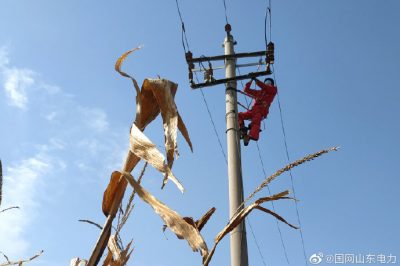 對(duì)10千伏春興線海防支線進(jìn)行清掃、檢修