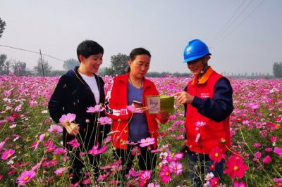 對(duì)玉山店村百畝格?；ㄋ诰€路進(jìn)行全方位的巡視排查